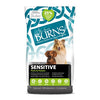 Burns Adult Sensitive + Pork and Potato 2kg
